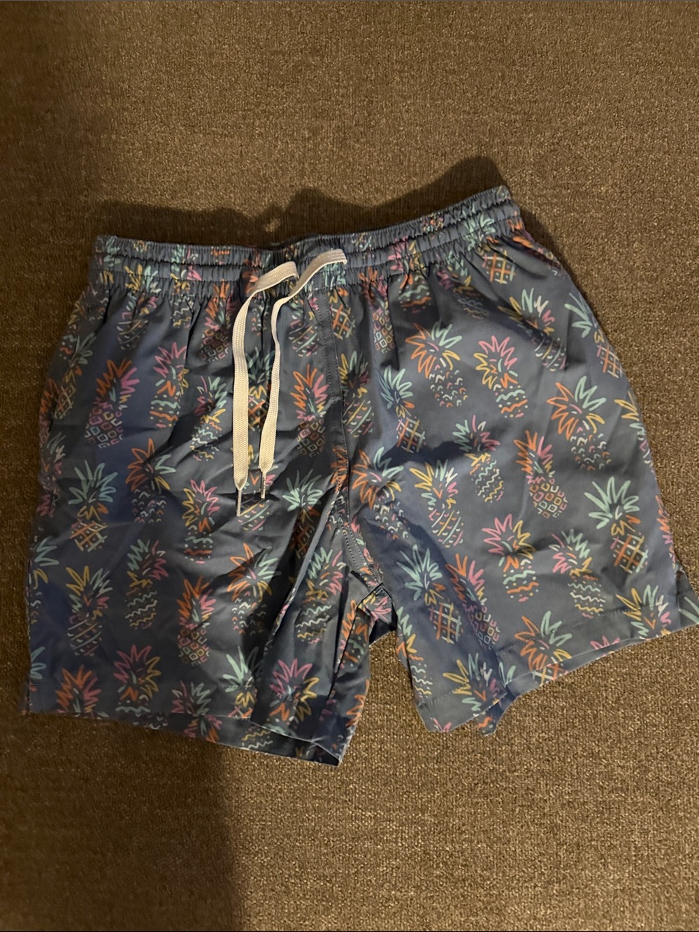 Men's chubbies bathing suit